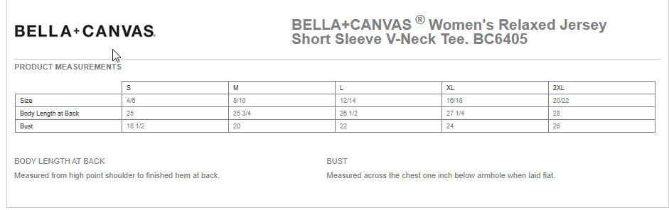 TV Gecko Fan Wear - Ladies V-Neck Tshirt - BC6405