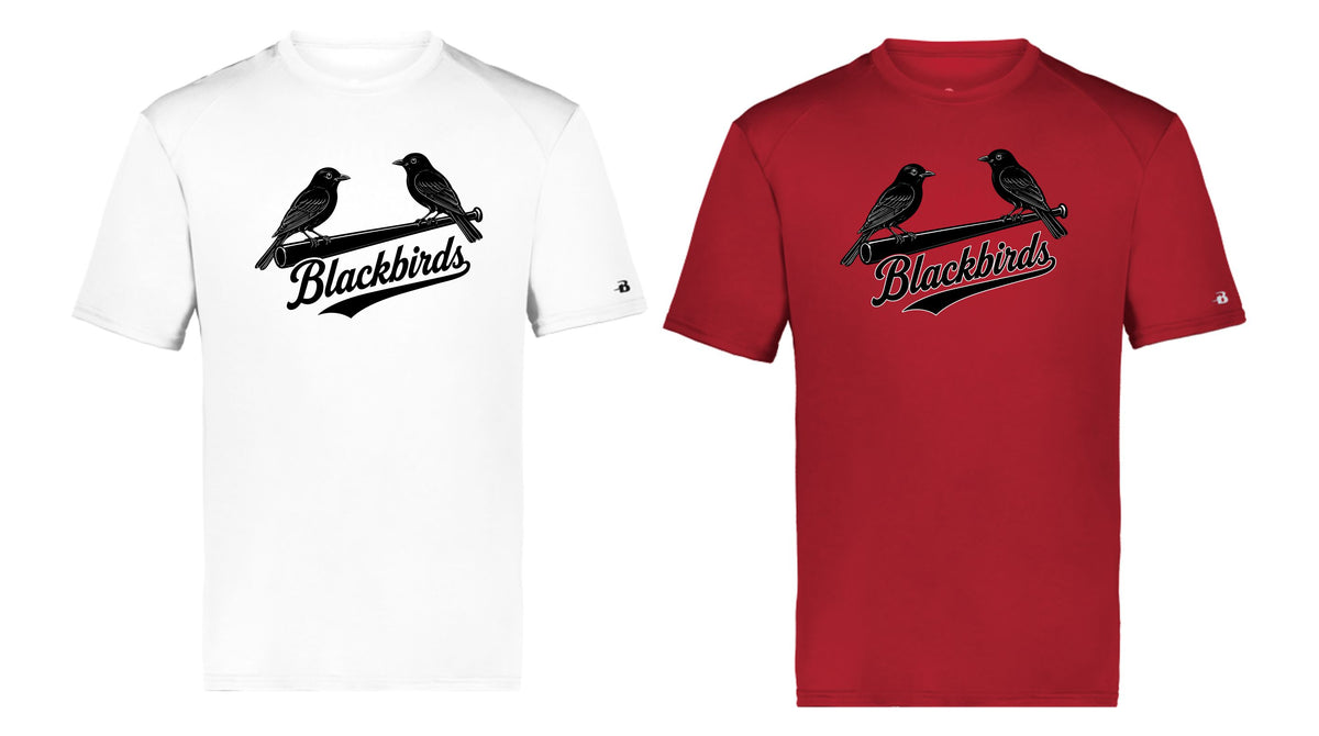 Blackbirds -  Dri-Fit shirt (ST350)