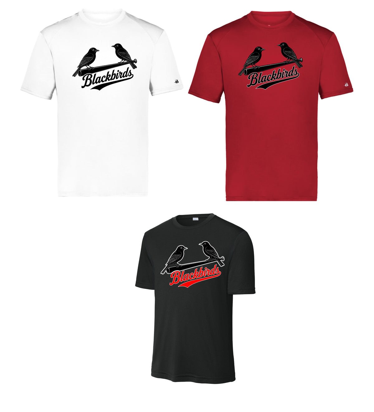 Blackbirds -  Dri-Fit shirt (ST350)